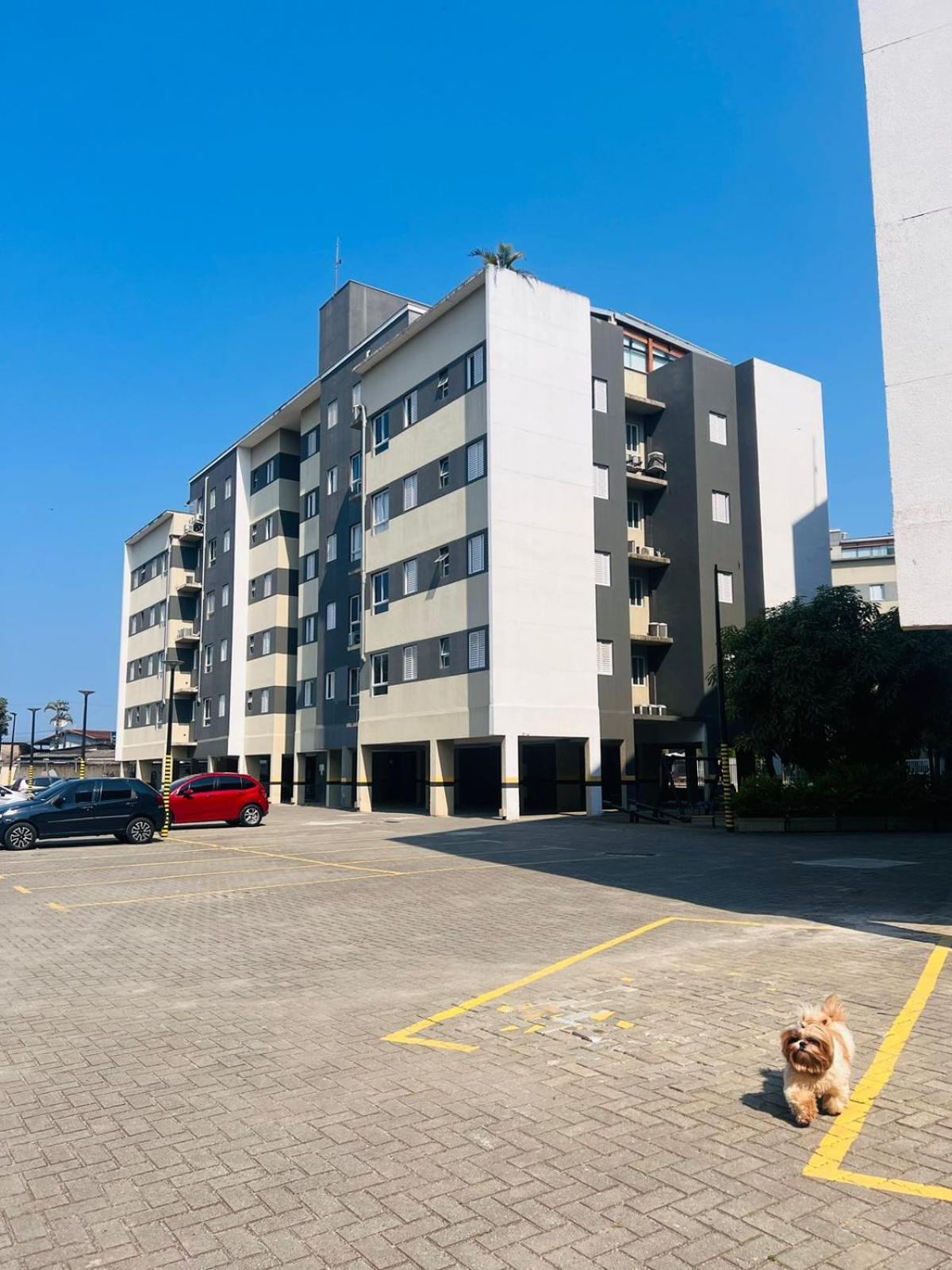 Apartamento Burgos Jardim Palmeiras Jp *